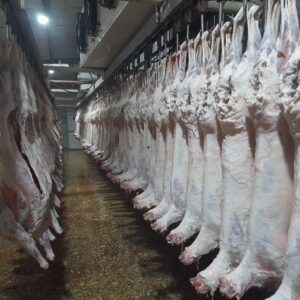 Lamb Fresh and Frozen - Image 2