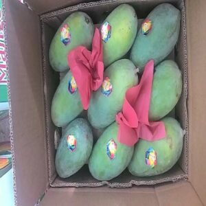 Mango - Image 3