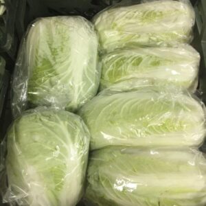 Chinese cabbage, - Image 3