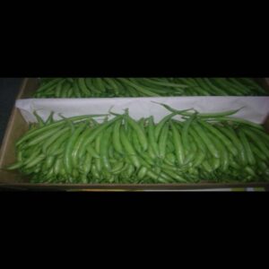 Green Beans - Image 3