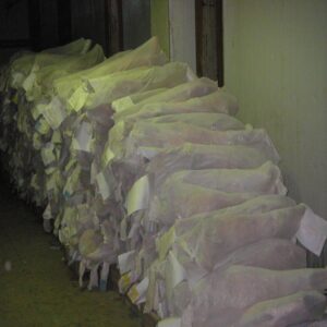 Lamb Fresh and Frozen - Image 6