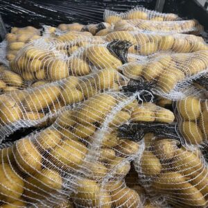 Potato - Image 2