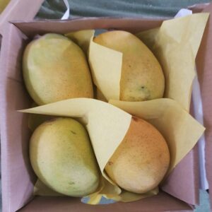 Mango - Image 4