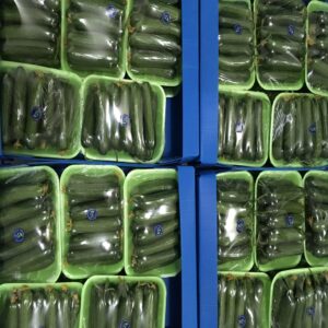 Persian Pickling Cucumber - Image 6