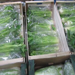 Celery - Image 3