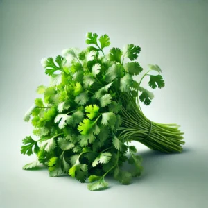 Coriander