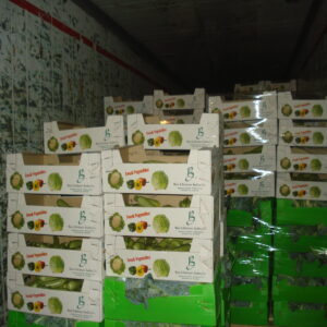 Zucchini - Image 4