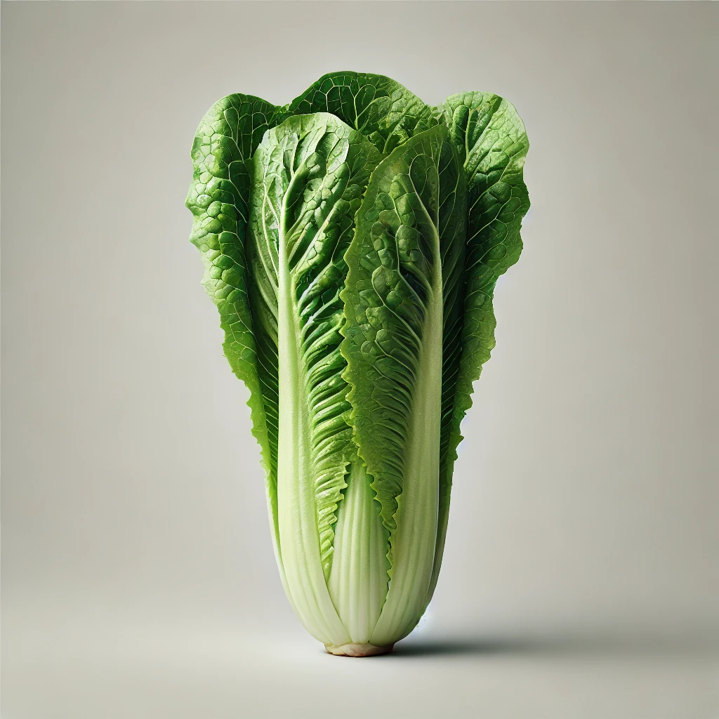 Romaine Lettuce Romaine Lettuce - Image 1