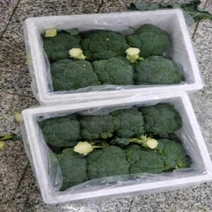 Broccoli - Image 4